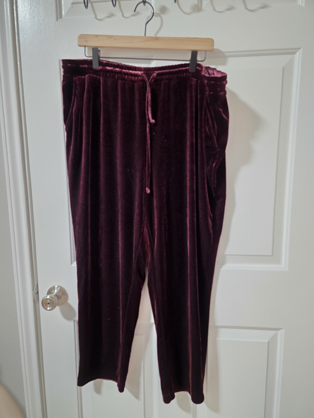 A New Day Burgundy Velvet Pull On Pants XXL
